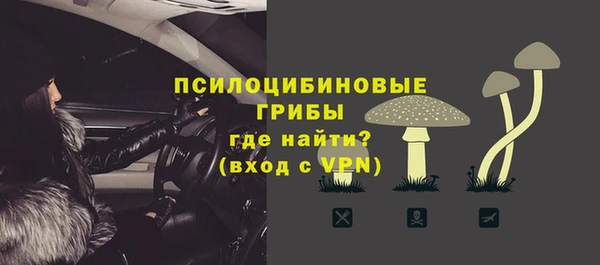 гашик Армянск
