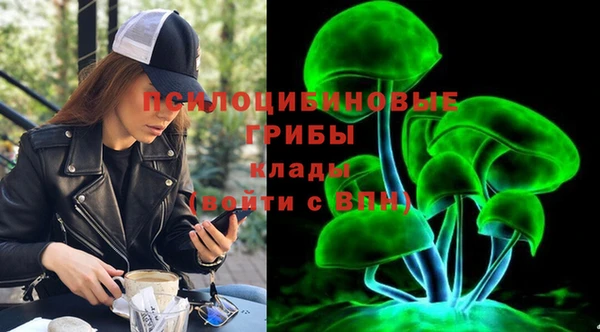 гашик Армянск
