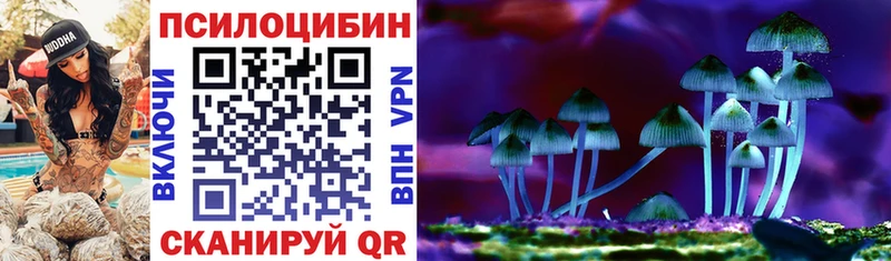 Галлюциногенные грибы GOLDEN TEACHER  mega сайт  Зуевка  закладки 